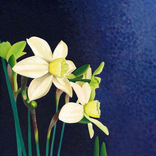 Daffodils - Polar Hunter